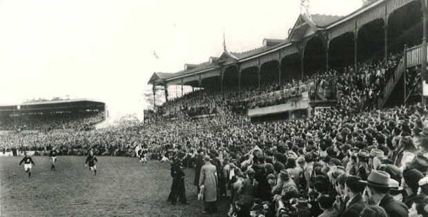 Tigers turn 129